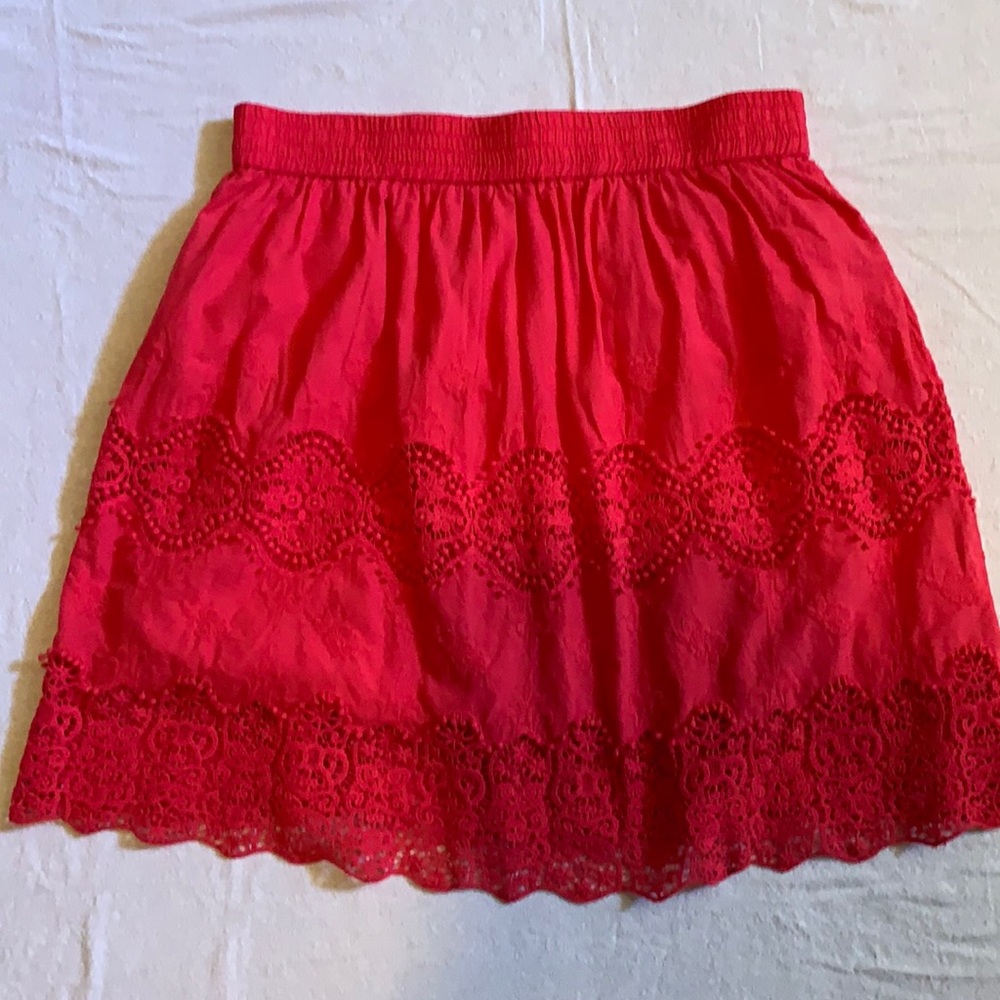 Lace Embroidered Mini Skirt